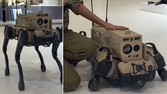 The Military Robot Dogs: Q-UGV Wolf